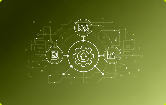 Web & CMS Delivery Process